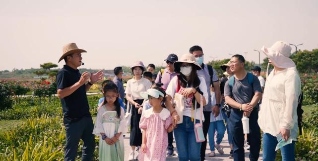 自主开发精品旅游产品与多米体育多渠道营销服务体系架构下的出境旅游经营服务